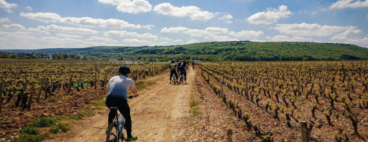 Activité vélo Bourgogne