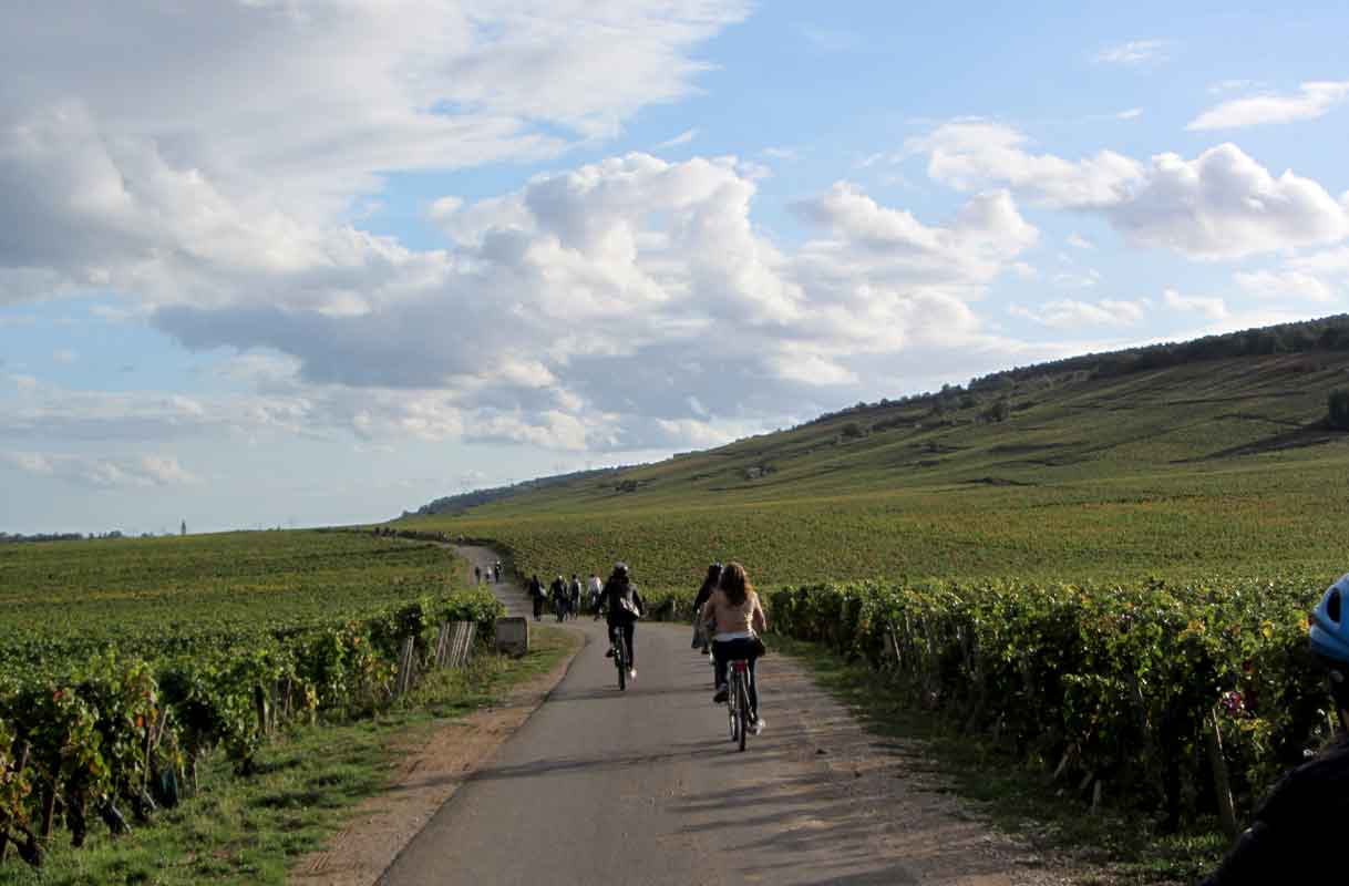 balade dans les vignes en groupe à vélo