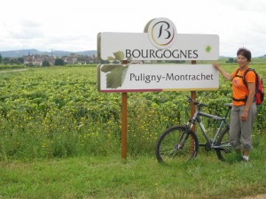 balade oenologique à vélo